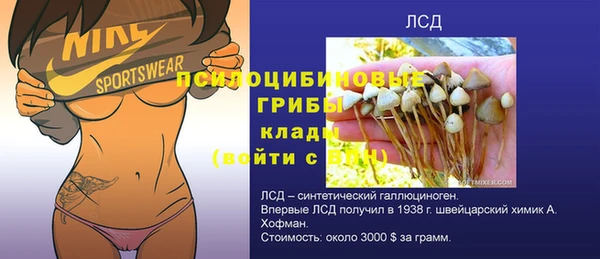 гашик Алексеевка