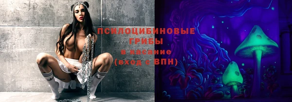 гашик Алексеевка