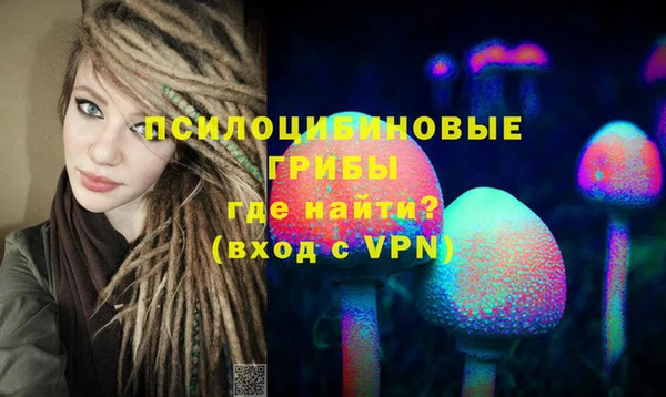 гашик Алексеевка