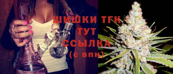 гашик Алексеевка