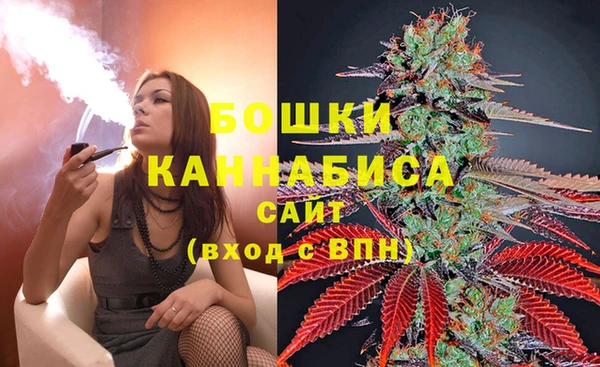 MESCALINE Алзамай