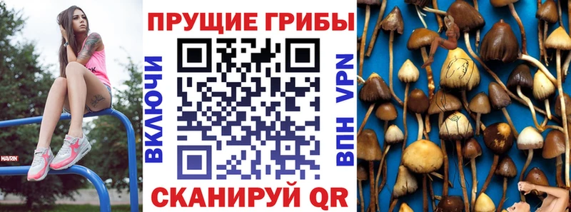 маркетплейс телеграм  Красноуральск  Псилоцибиновые грибы Psilocybine cubensis  где купить наркоту 